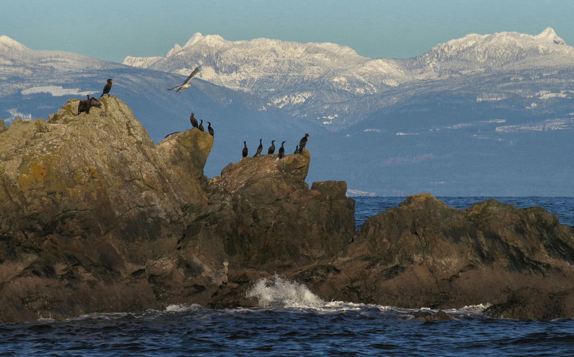 Nanaimo coast