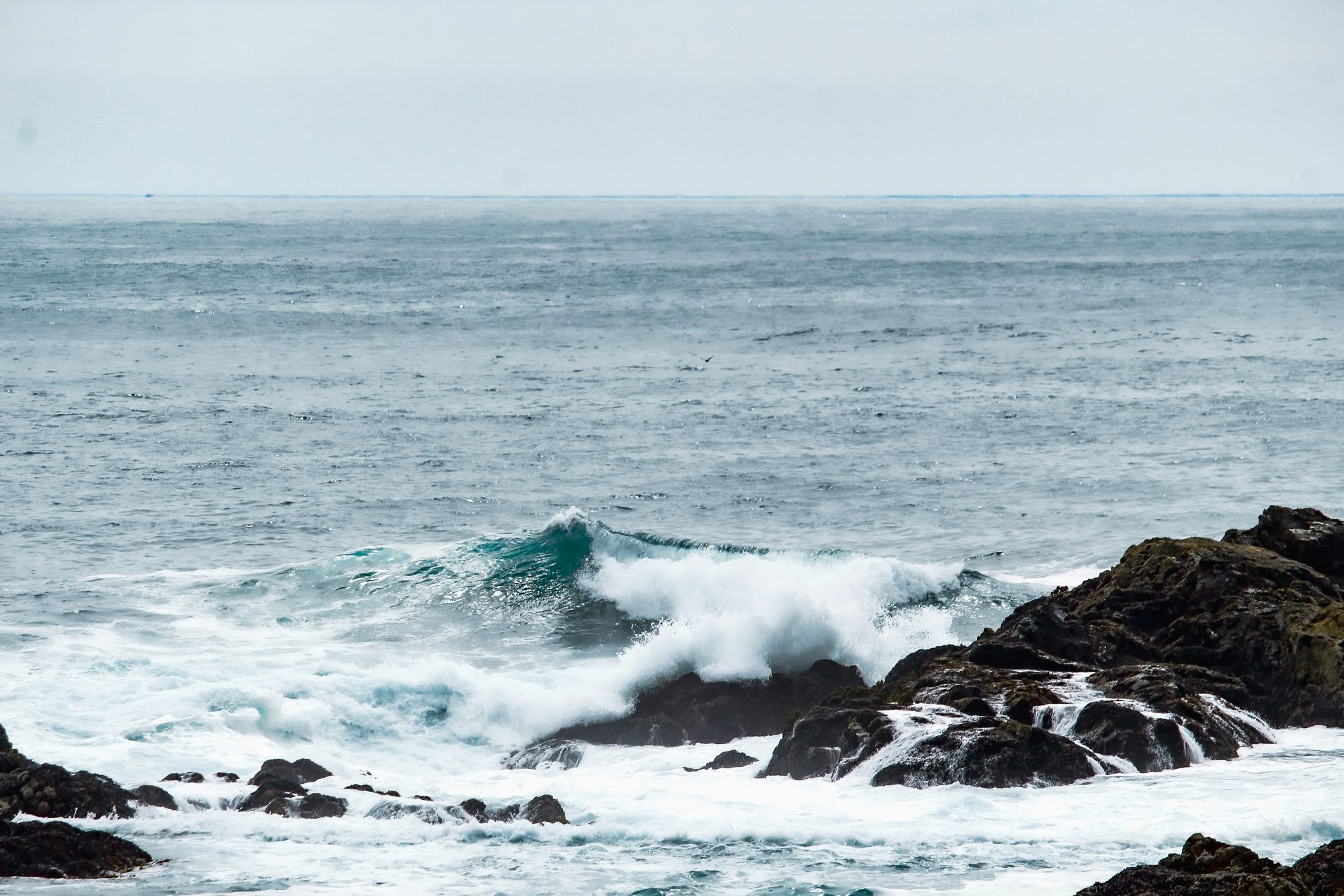 Ocean